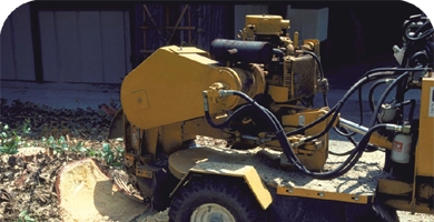 stump_services