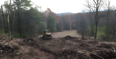 clearing